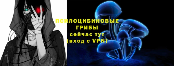 меф Заводоуковск