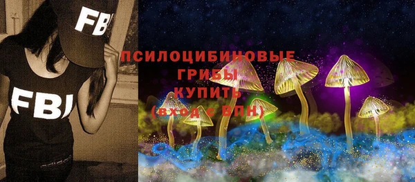 трава Зеленодольск